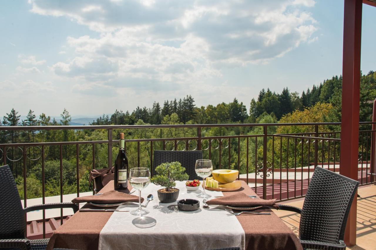 Hotel Villa Magus Kladnitsa Εξωτερικό φωτογραφία